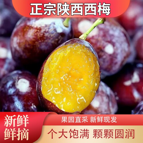 西梅新鲜当季现摘水果酸爽多汁