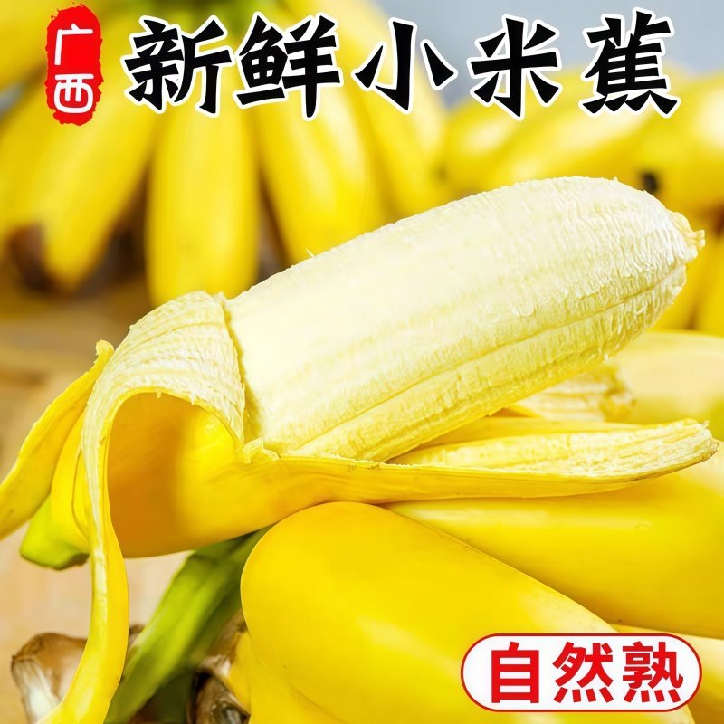 正宗广西小米蕉鸡蕉皇帝蕉甜糯孕妇当季新鲜水果薄皮香蕉整箱批发,水产肉类/新鲜蔬果/熟食,香蕉,淘宝优惠券,粉丝福利购,淘宝优惠卷