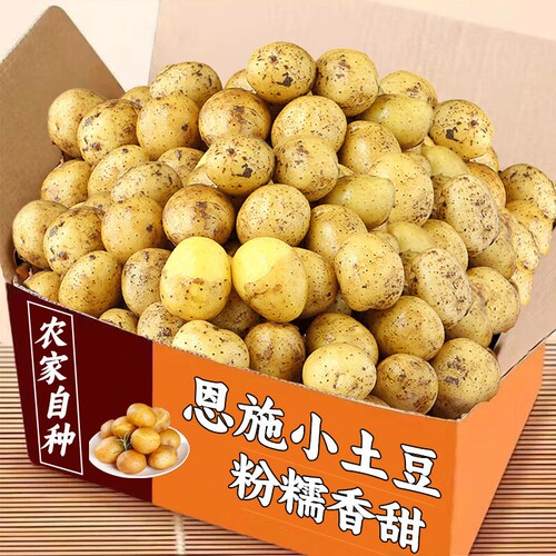 恩施小土豆新鲜黄心包邮