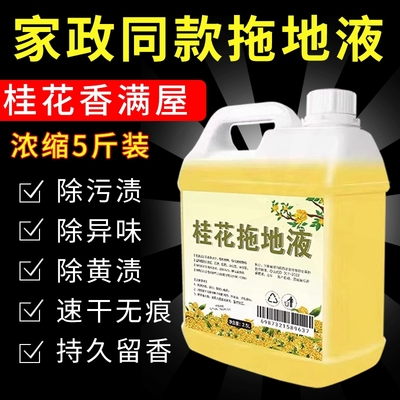桂花香地板清洁剂清洁持久留香液