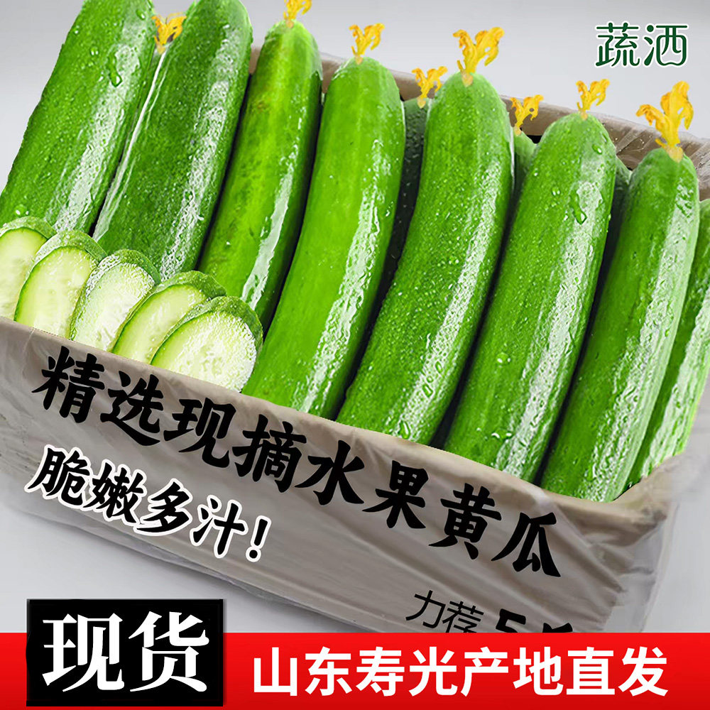 山东头茬脆嫩水果黄瓜小青瓜当季时令蔬菜水果生吃黄瓜轻食简餐