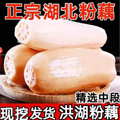 正宗洪湖粉藕湖北特产粉糯莲藕现挖新鲜武汉九孔连藕煲炖汤