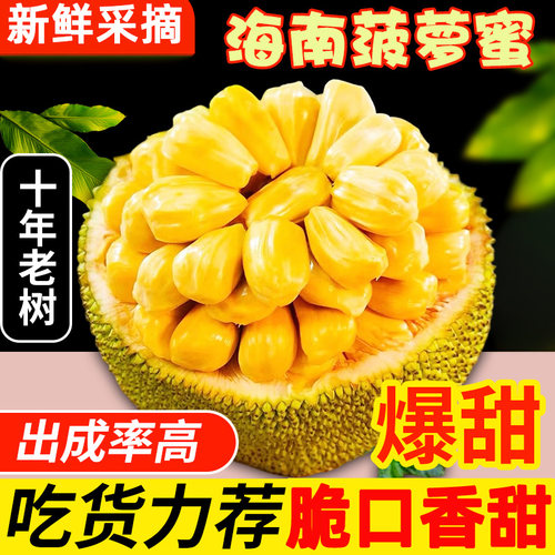 海南三亚干苞黄肉菠萝蜜
