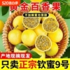 下拉13！广西钦蜜9号黄金百香果3斤