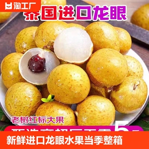 泰国龙眼新鲜进口新鲜龙眼水果当季整箱应季新鲜桂圆大果去枝净果