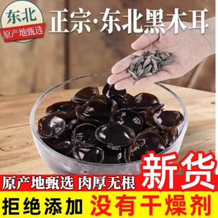 东北小碗秋木耳干货农家特产椴木黑木耳非特级野生黑木耳凉拌商用