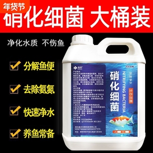 硝化细菌水质杀菌鱼缸净水剂澄清剂清澈剂清稳定剂养鱼净水王氧气