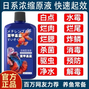 亚甲基蓝鱼缸消毒水族鱼专用杀菌药烂身烂尾水霉病药试剂溶液