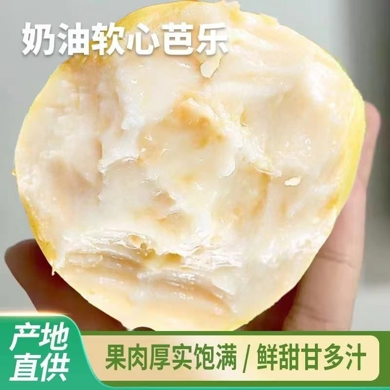 白心软糯奶油芭乐新鲜水果芭乐果低糖软番石榴应季新鲜果农场现摘