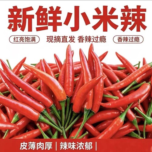 贵州小米椒现摘新鲜红辣椒朝天椒5斤当季蔬菜剁椒泡椒小米辣批发