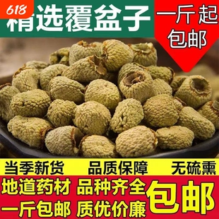 覆盆子中药材正品特级覆盆子泡茶浙江覆盆子茶