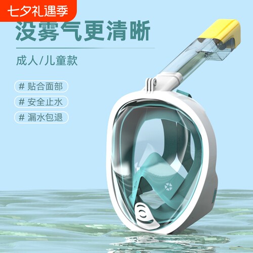 浮潜三宝防雾潜水镜面罩套装