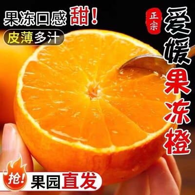 正宗爱媛38号果冻橙皮薄多汁直发孕妇儿童当季水果补维c新鲜柑橘