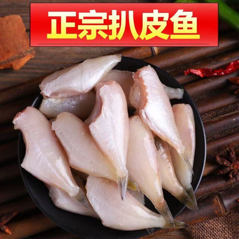 耗儿鱼新鲜冷冻免处理火锅马面鱼剥皮鱼淡水海鲜水产中段扒皮生鲜