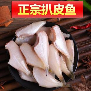 耗儿鱼新鲜冷冻免处理火锅马面鱼剥皮鱼淡水海鲜水产中段扒皮生鲜