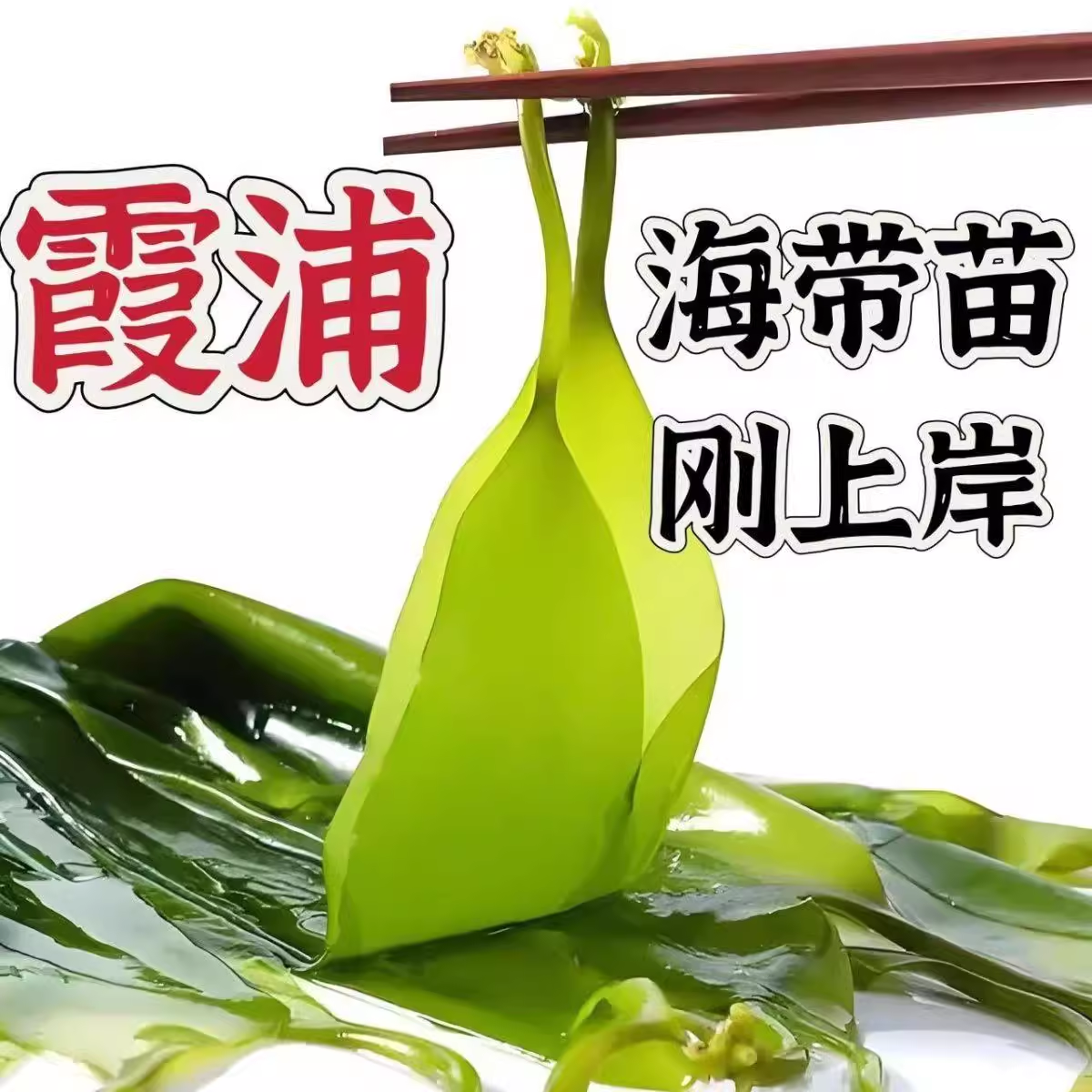 海带苗嫩干新鲜一级海带嫩苗嫩芽火锅麻辣烫天然海菜芽海鲜干货,水产肉类/新鲜蔬果/熟食,海带,淘宝优惠券,粉丝福利购,淘宝优惠卷