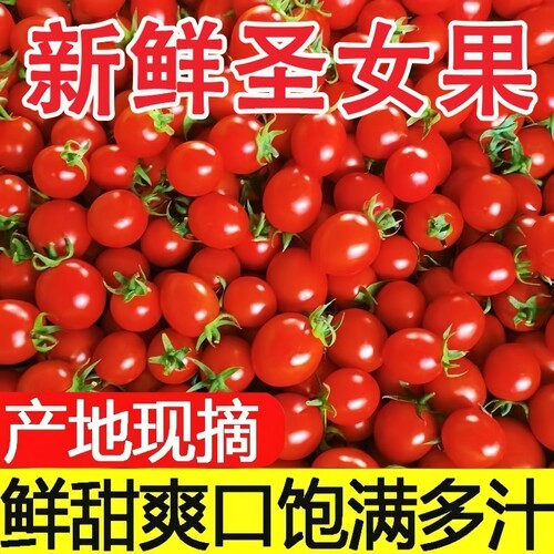 圣女果千禧小番茄新鲜现摘当季小西红柿超甜孕妇水果整箱自提好吃