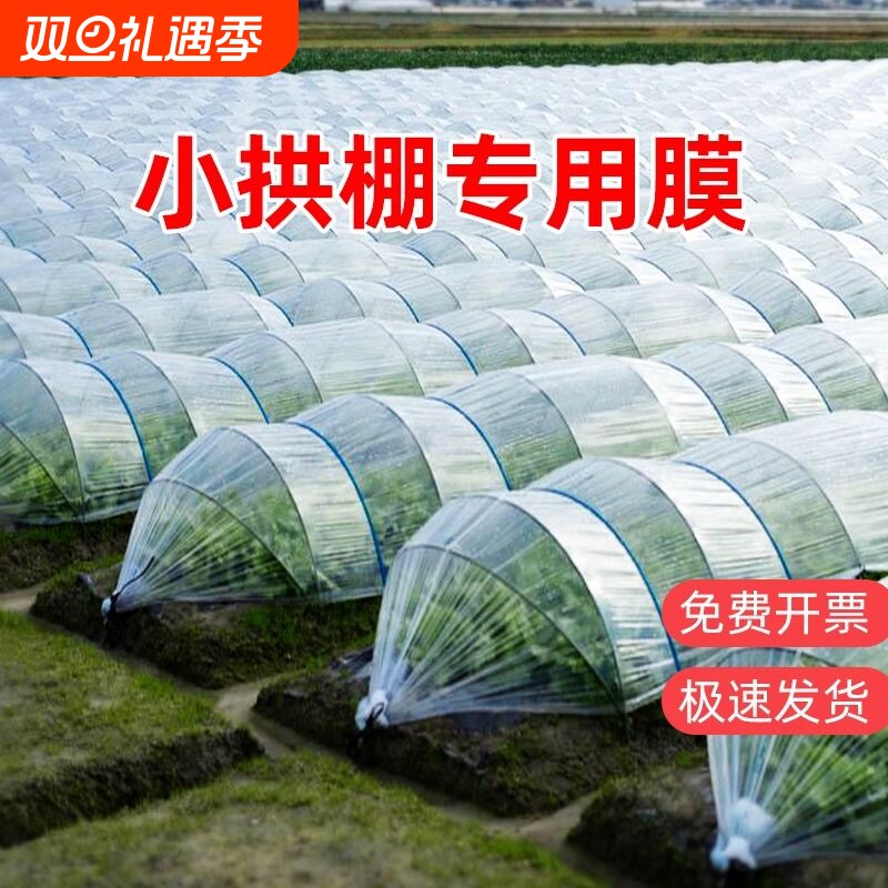 透明小拱棚专用膜塑料膜种菜大棚膜蔬菜农用薄膜育苗保温塑料布