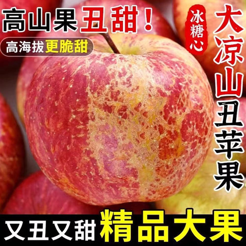 现摘丑苹果冰糖心正宗大凉山