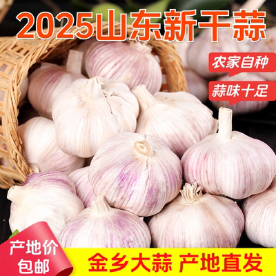 山东金乡紫皮大蒜头产地价包邮