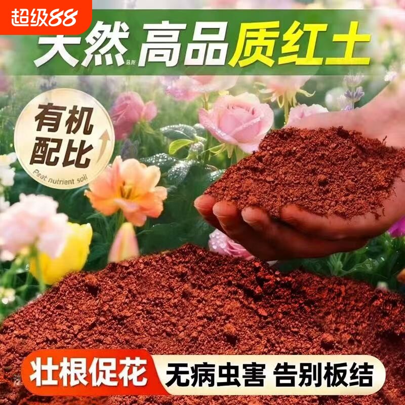 精选茶花三角梅柠檬茉莉红土图片