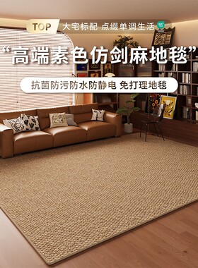 仿剑麻地毯客厅耐磨仿猫爪免洗侘寂中古风地垫奶油高级卧室床边毯