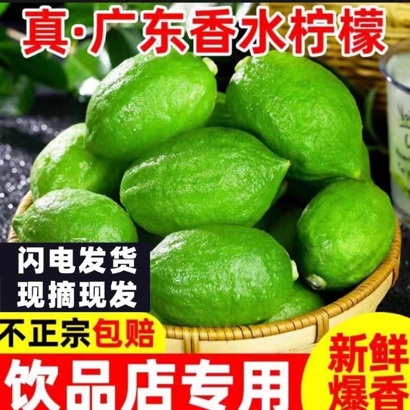 广东香水柠檬咖啡奶茶店专用新鲜现摘现发无籽香柠檬皮薄饮品优选