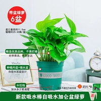 120#New Gallon Sa'an Pot [6] Pot Pot +8 удобрения 1