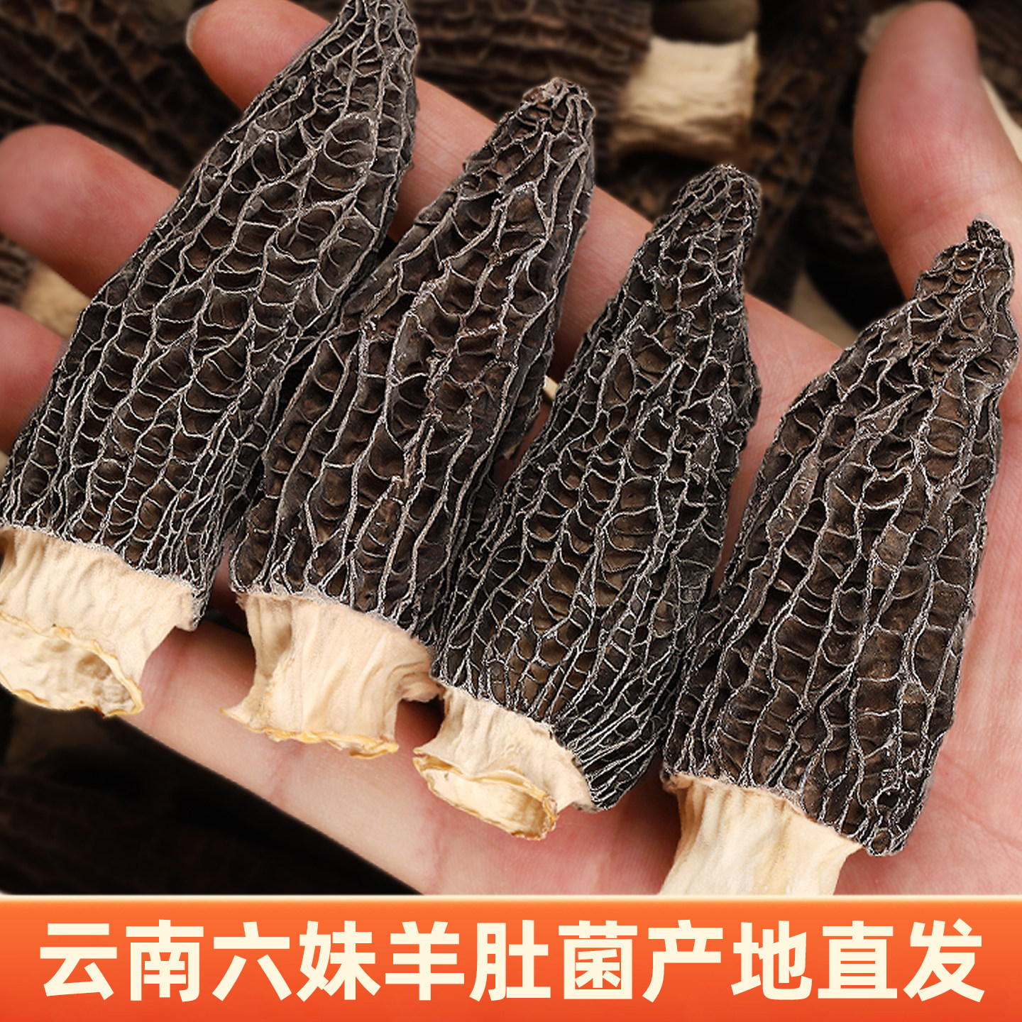 云南羊肚菌干货野生正宗煲汤滋补食材炖汤山珍菌菇精品无硫营养