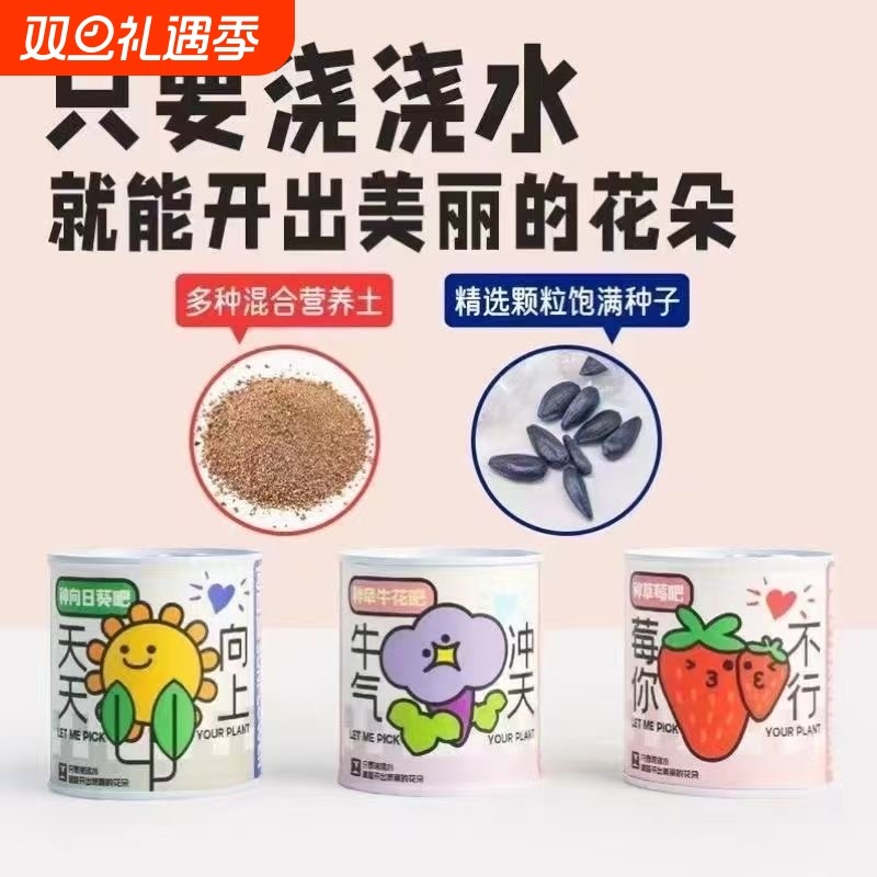 易拉罐盆栽花蔬菜水果罐头盲盒种子植物迷你绿植六一儿童节小礼物