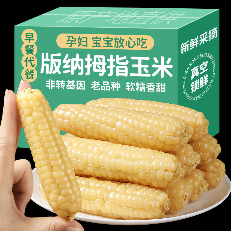 云南西双版纳拇指小玉米新鲜甜香糯粘手指儿童苞谷棒特产糯玉米