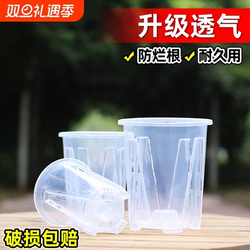 透明控根盆兰花水苔蝴蝶兰专用花盆塑料透气镂空大号家用君子