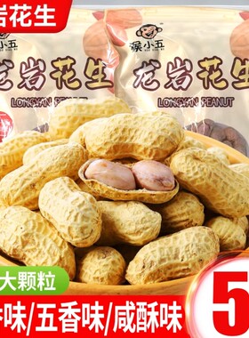 龙岩花生蒜香五香味花生米带壳炒货小零食下酒菜熟花生特产蒜蓉