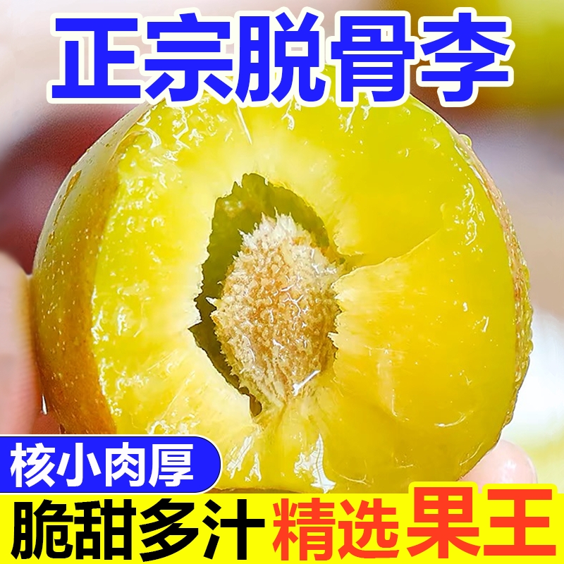 正宗四川脱骨红脆李子青土李子新鲜水果当季茵红李蜂糖汶川批发