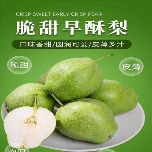 2026头茬早酥梨脆甜多汁薄皮梨子应季头茬大果冰糖雪梨酥脆化渣