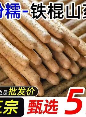 正宗铁棍山药蠡县麻山药小白嘴山药新鲜山药产地直发辅食蔬菜5斤