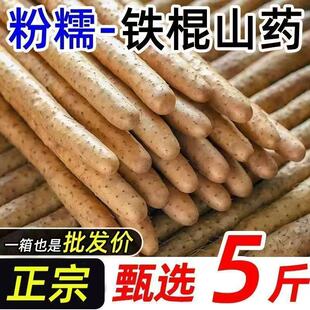 正宗铁棍山药蠡县麻山药小白嘴山药新鲜山药产地直发辅食蔬菜5斤