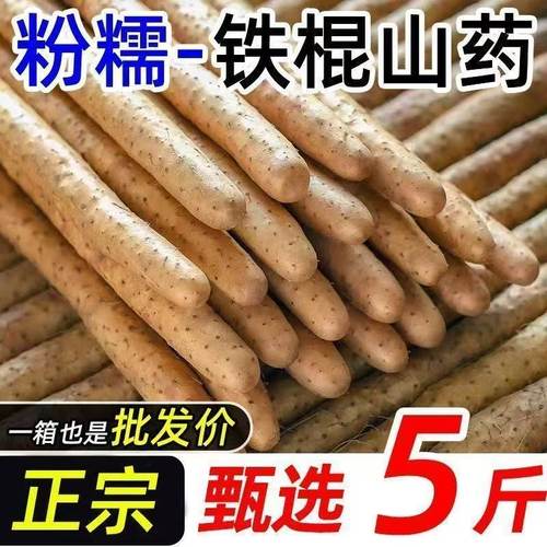 正宗铁棍山药蠡县麻山药小白嘴山药新鲜山药产地直发辅食蔬菜5斤