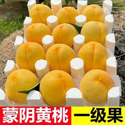 蒙阴黄桃新鲜应当季水果整箱孕妇水果现摘黄金蜜桃锦绣黄毛桃脆桃