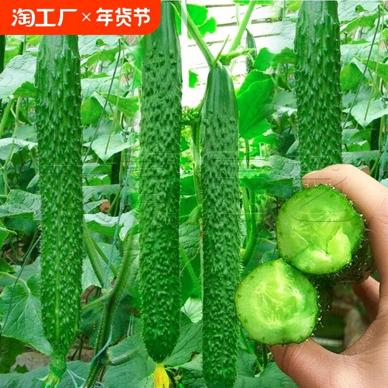 �����ĺŻƹ� �߲���Ʒ�����Ļƹ�����������ˮ�����߲��Ϻ����Ӳ������ִ�ȫ