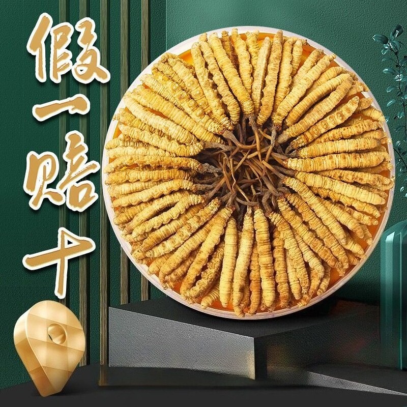 西藏那曲冬虫夏草头期干货高海拔干草青海高档礼品盒正宗正品虫草
