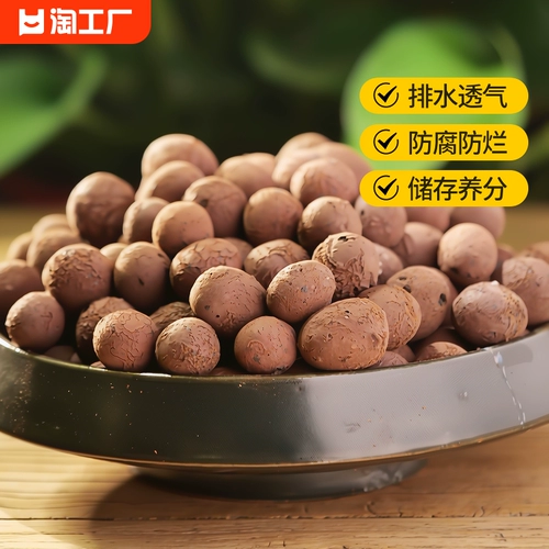 Керамика нижнее гидропонное размножение цветов.