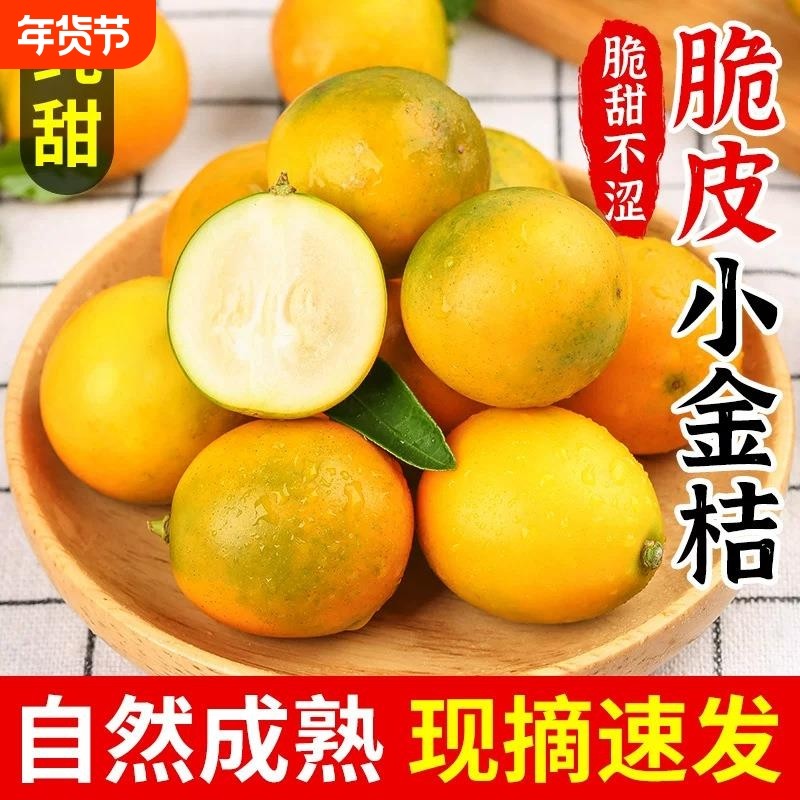 广西脆皮金桔新鲜橘子水果当季纯甜蜜冰糖心现摘年货节脆甜小金,水产肉类/新鲜蔬果/熟食,桔子,淘宝优惠券,粉丝福利购,淘宝优惠卷