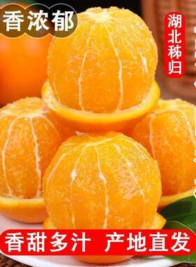 秭归正宗伦晚脐橙甜橙湖北当季橙子新鲜榨汁水果包邮整箱产地现摘