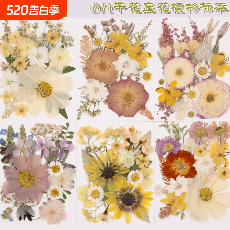 复古系列DIY干花压花植物标本儿童幼儿园多种花卉押花手工材料包