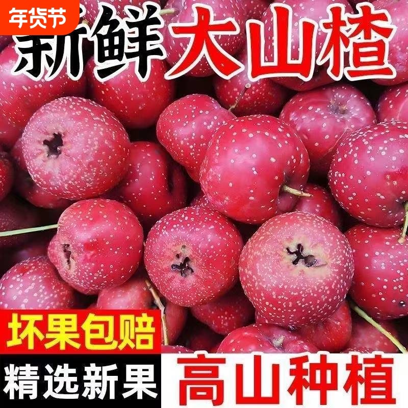【补贴】山楂新鲜大果大金星农家天然红果雪球糖雪球泡酒专用水果