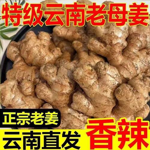 正宗云南小黄姜新鲜蔬菜沙姜干姜仔姜嫩姜鲜姜大姜老姜老生姜当季