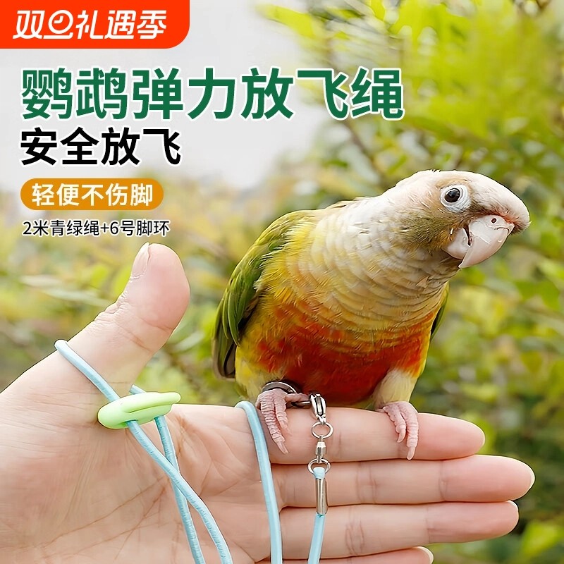 鹦鹉放飞绳超轻遛鸟牵引户外训练绳虎皮牡丹玄凤神器外出八哥