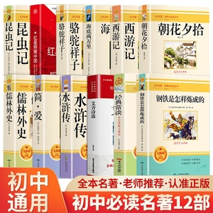 课外书初中课外书籍9语文书目水浒传外传必读钢铁诗选昆虫记 初三上册下册 简爱和儒林外史九年级阅读正版 名著吴敬梓原著完整版