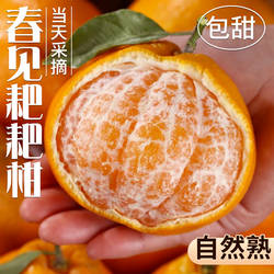 四川蒲江耙耙柑新鲜水果粑粑柑丑柑橘子整箱正宗杷杷柑桔子包邮